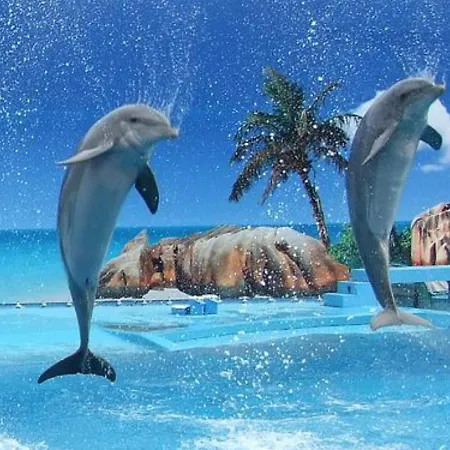 Appartamento Stunning 1-bed In Olhos De Agua *